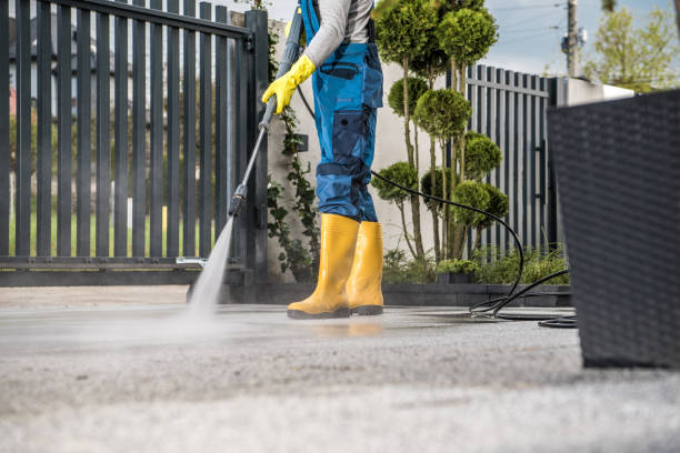 Best Gutter Cleaning  in Iron River, MI